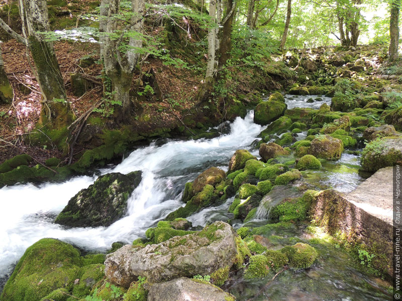  Природа Черногории славится своей красотой и чистотой экологии