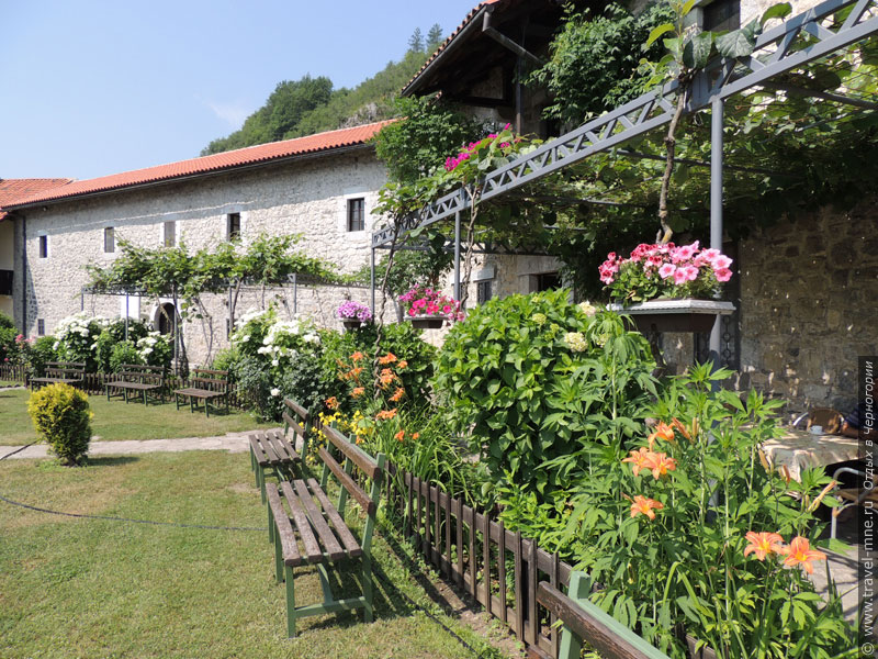 Жилые постройки и стены монастыря Морача в летнее время увиты цветущей зеленью