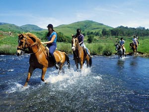 Катание на лошадях в Черногории