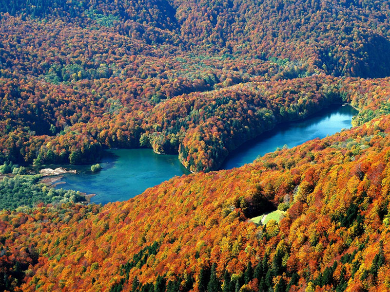 Биоградское озеро расположено посреди красивых лесов национального парка