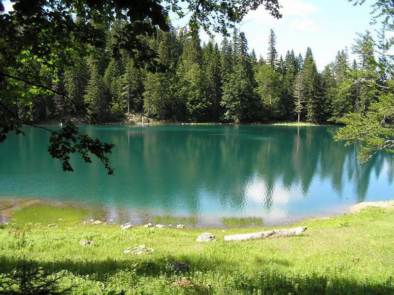 Вода Забойского озера в окружении хвойных лесов выглядит изумрудно-зеленой