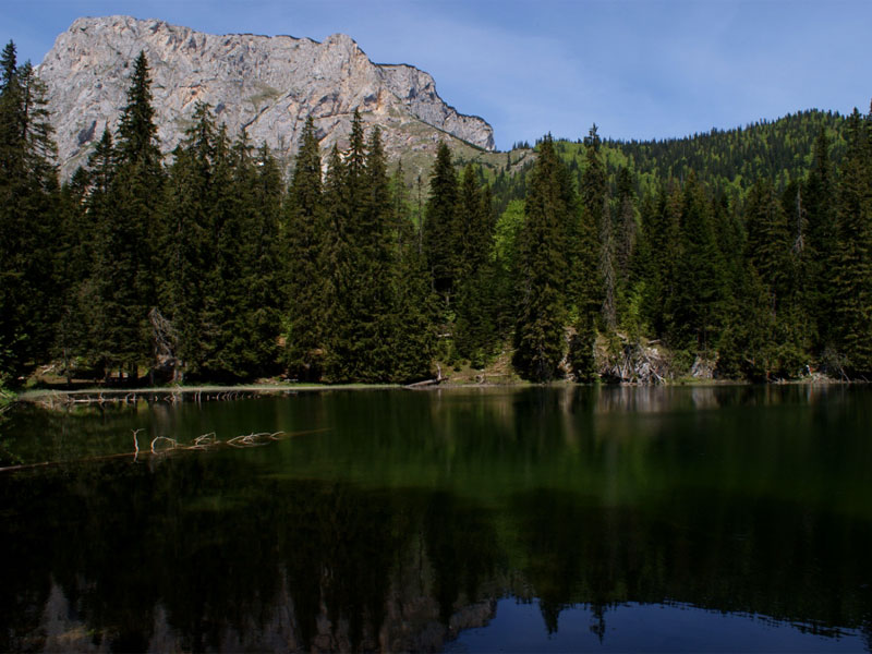 Змеиное озеро со всех сторон окружено густым еловником