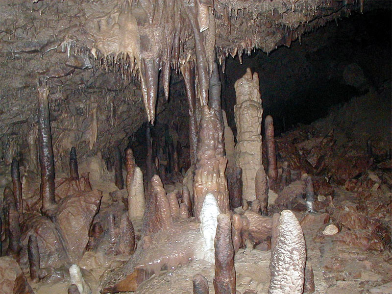 Пещеру Новаковича отличает обилие красивых сталактитов и сталагмитов