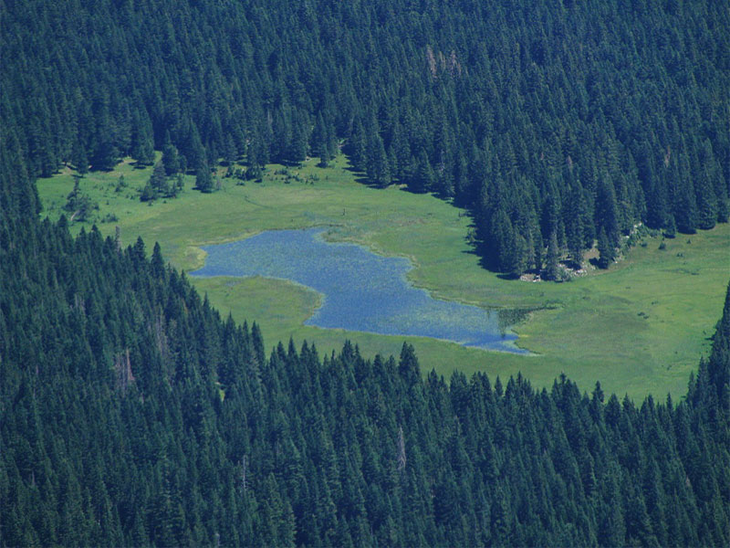 Озеро Барно со всех сторон окружено густым хвойным лесом