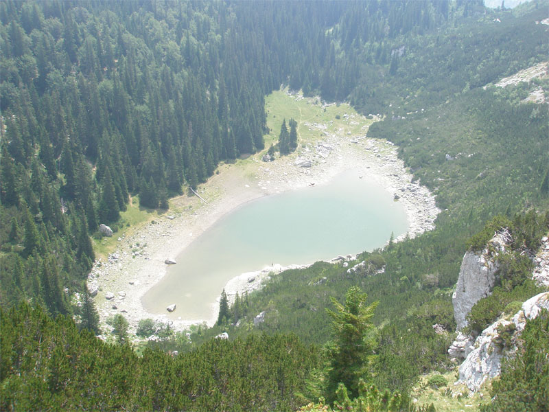 Тополиное озеро в окружении тополиного леса