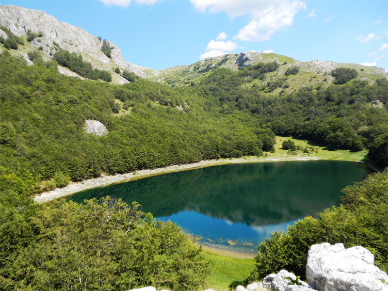 Большое Стабанское озеро выделяется голубым цветом воды на фоне окружающих его зеленых лесов