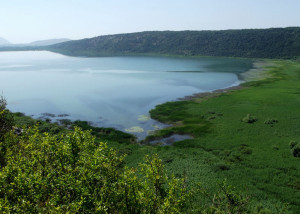 Шасское озеро